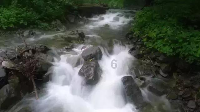 打呀么打飞机