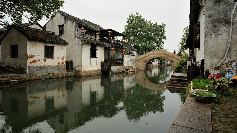 如何保护管理城市流浪动物？沪政协委员建议科技赋能数字化建档