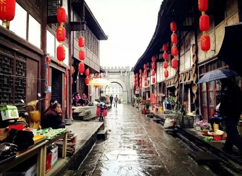 救援小棕兔